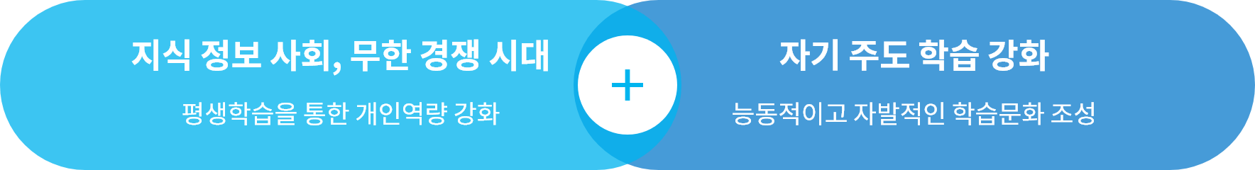 지식정보사회 무한경쟁시대 자기주도학습강화
